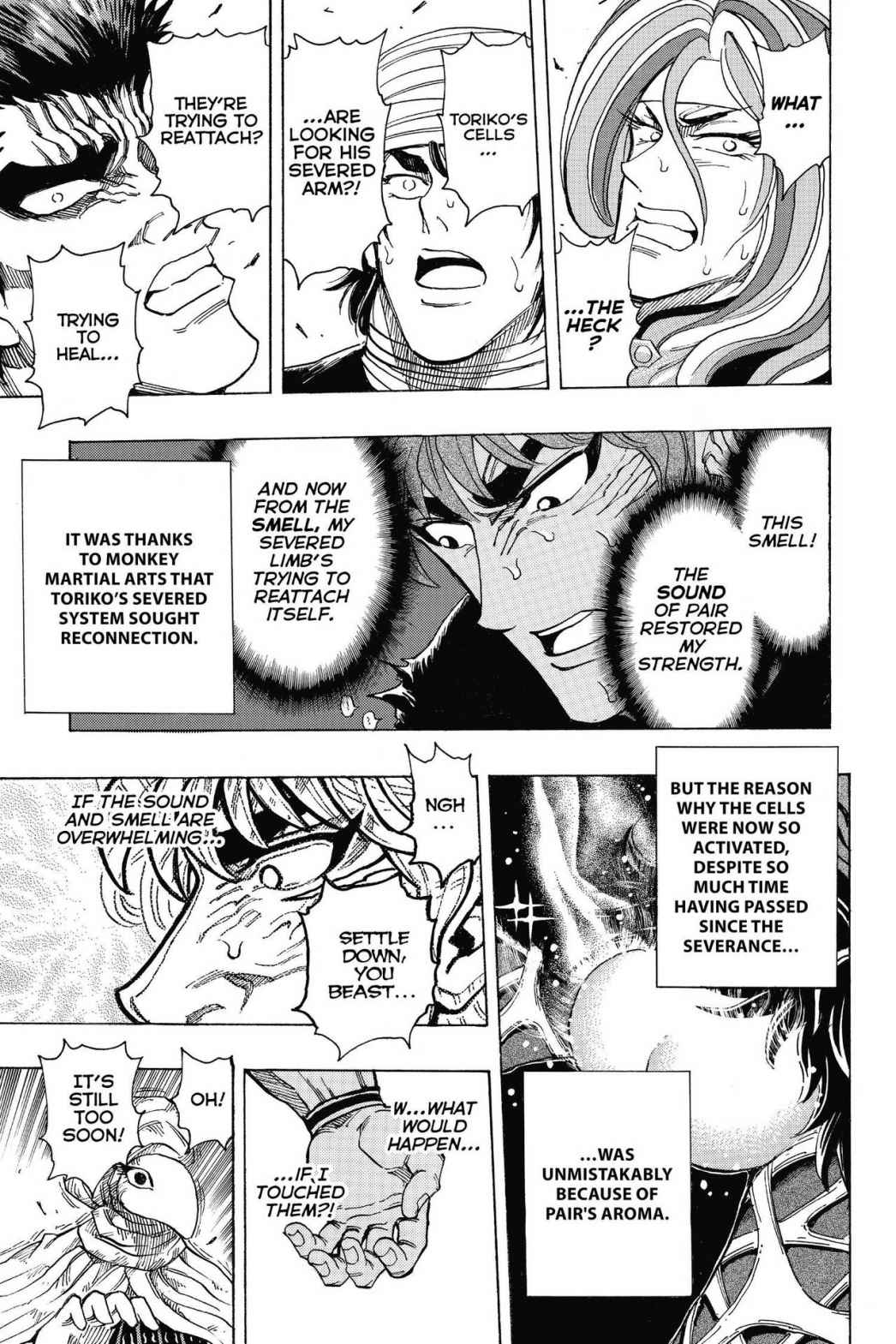 Read Toriko Manga Online