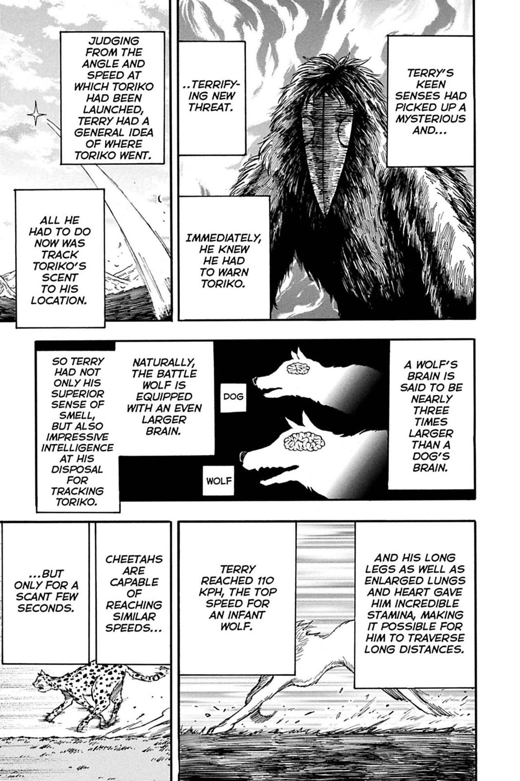 Read Toriko Manga Online