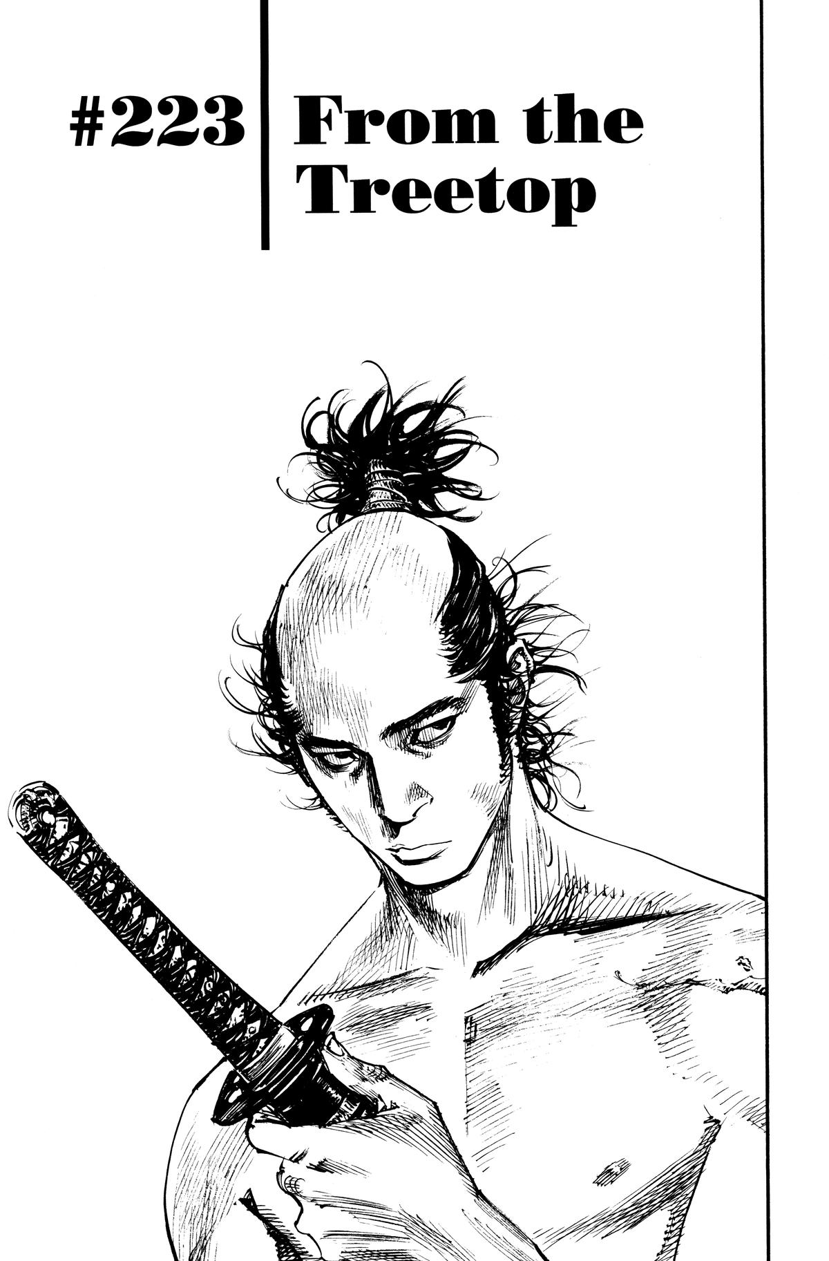 Read Vagabond Manga Online