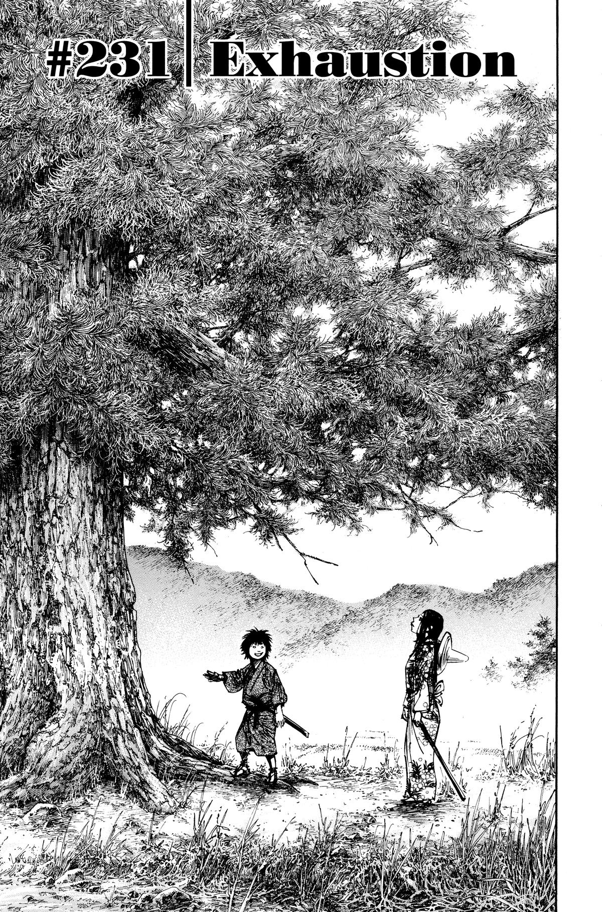 Read Vagabond Manga Online