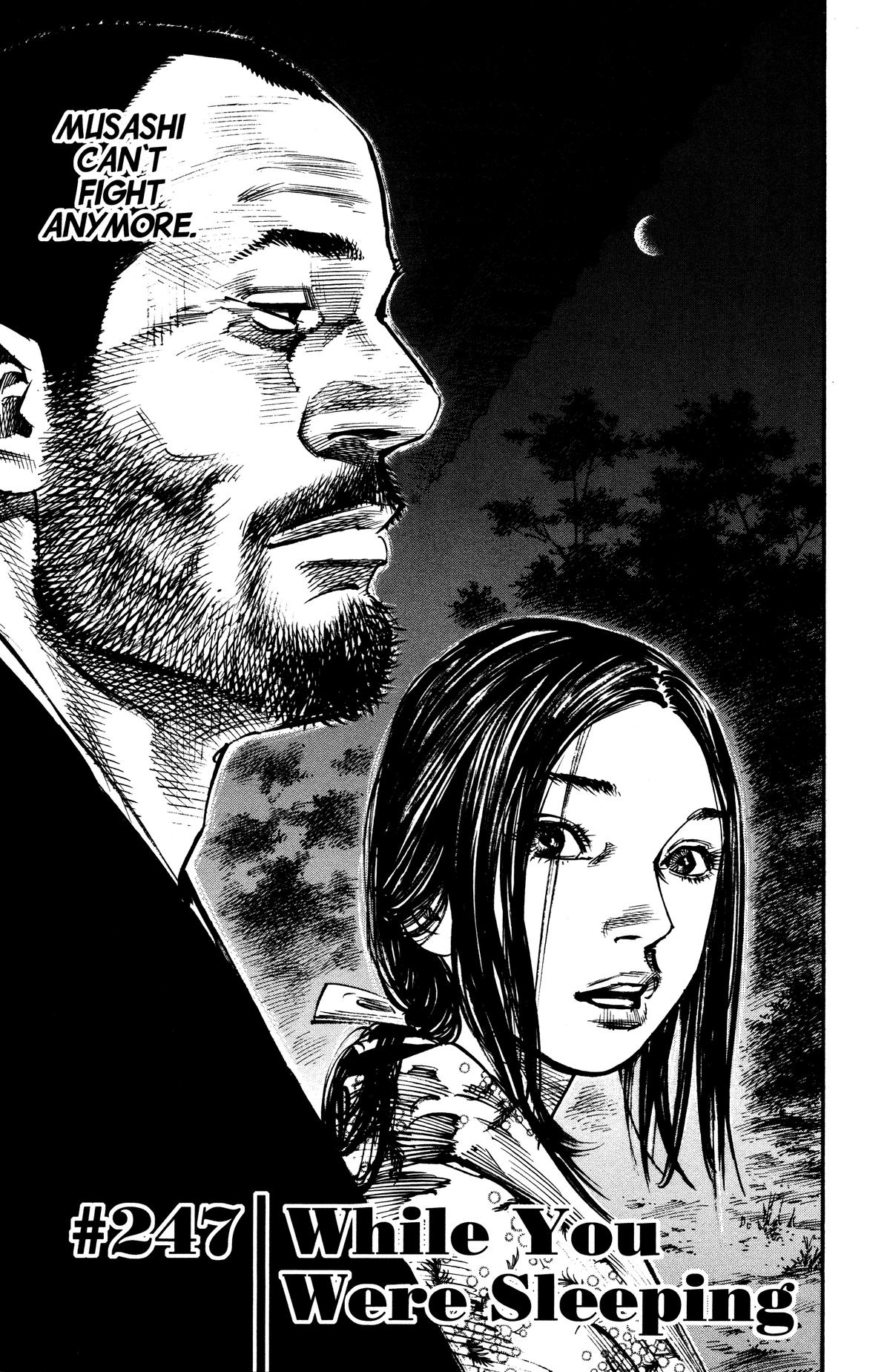 Read Vagabond Manga Online
