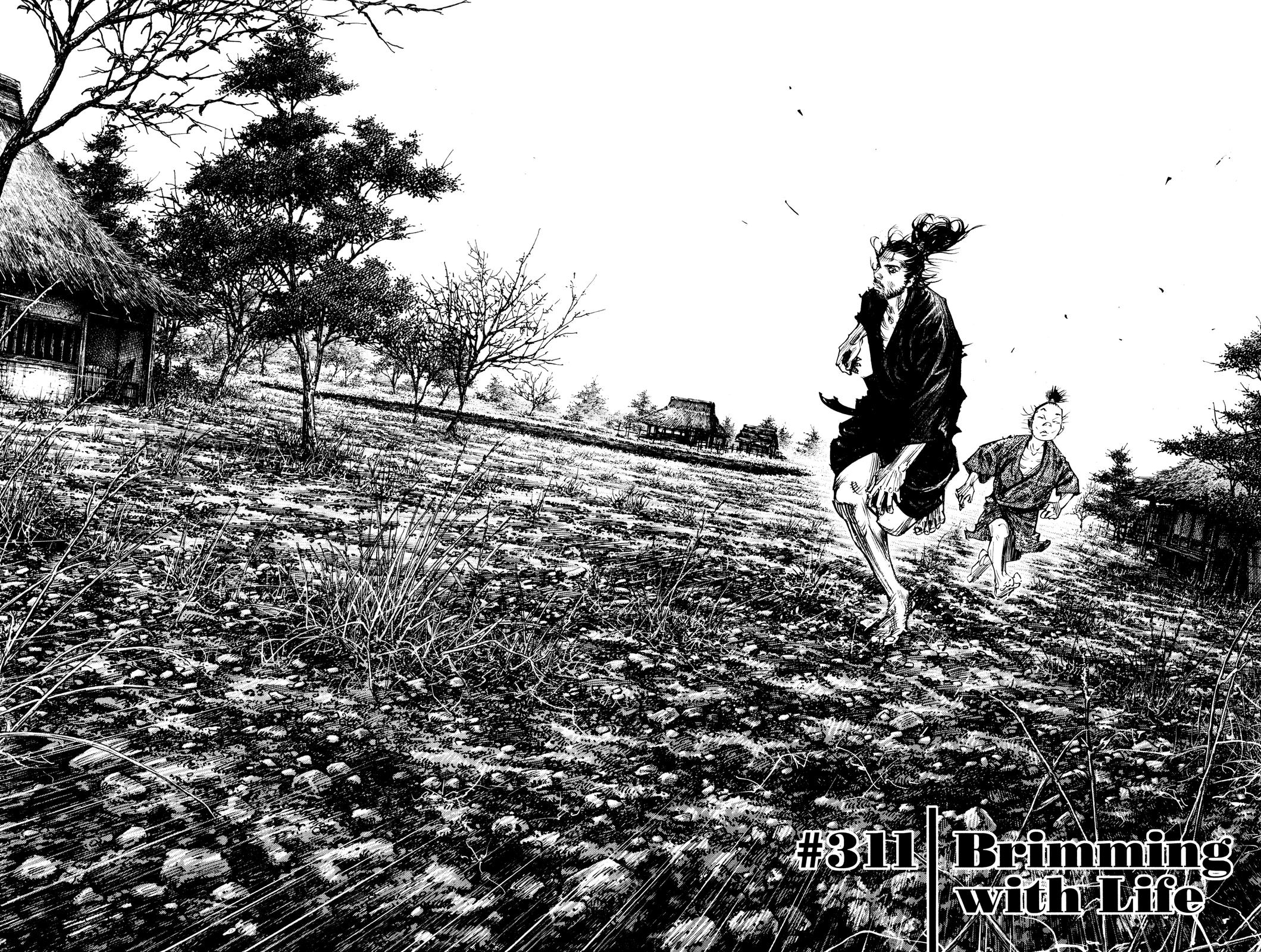 Read Vagabond Manga Online