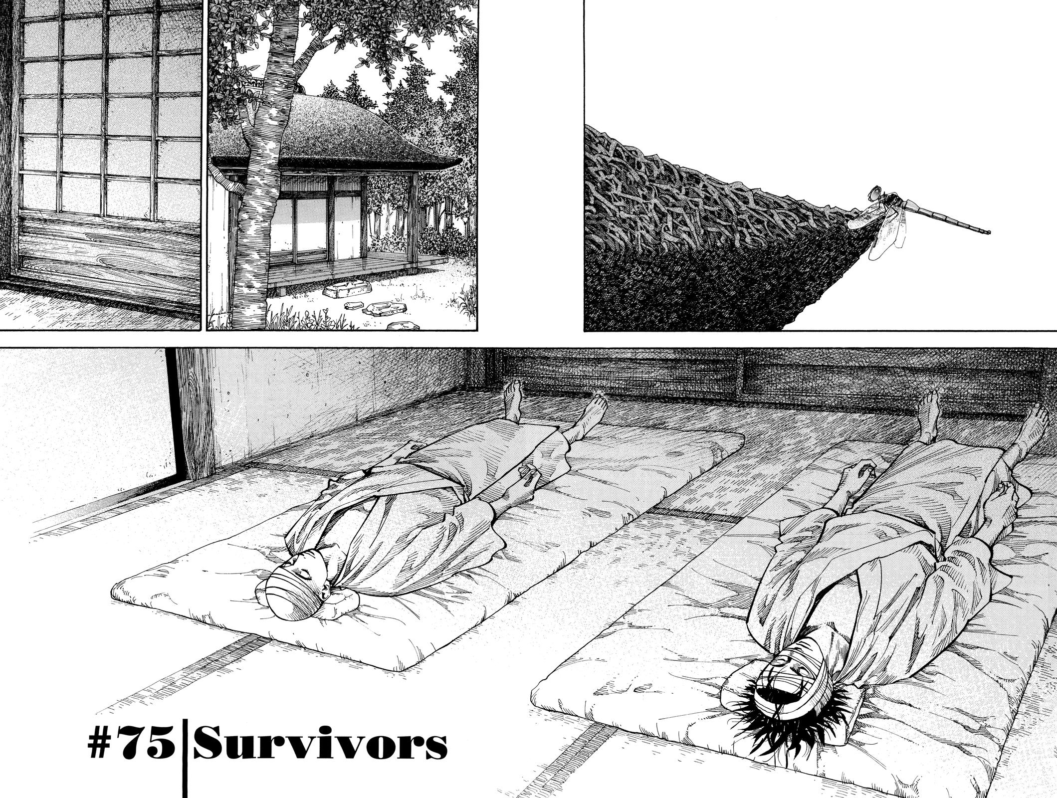 Read Vagabond Manga Online