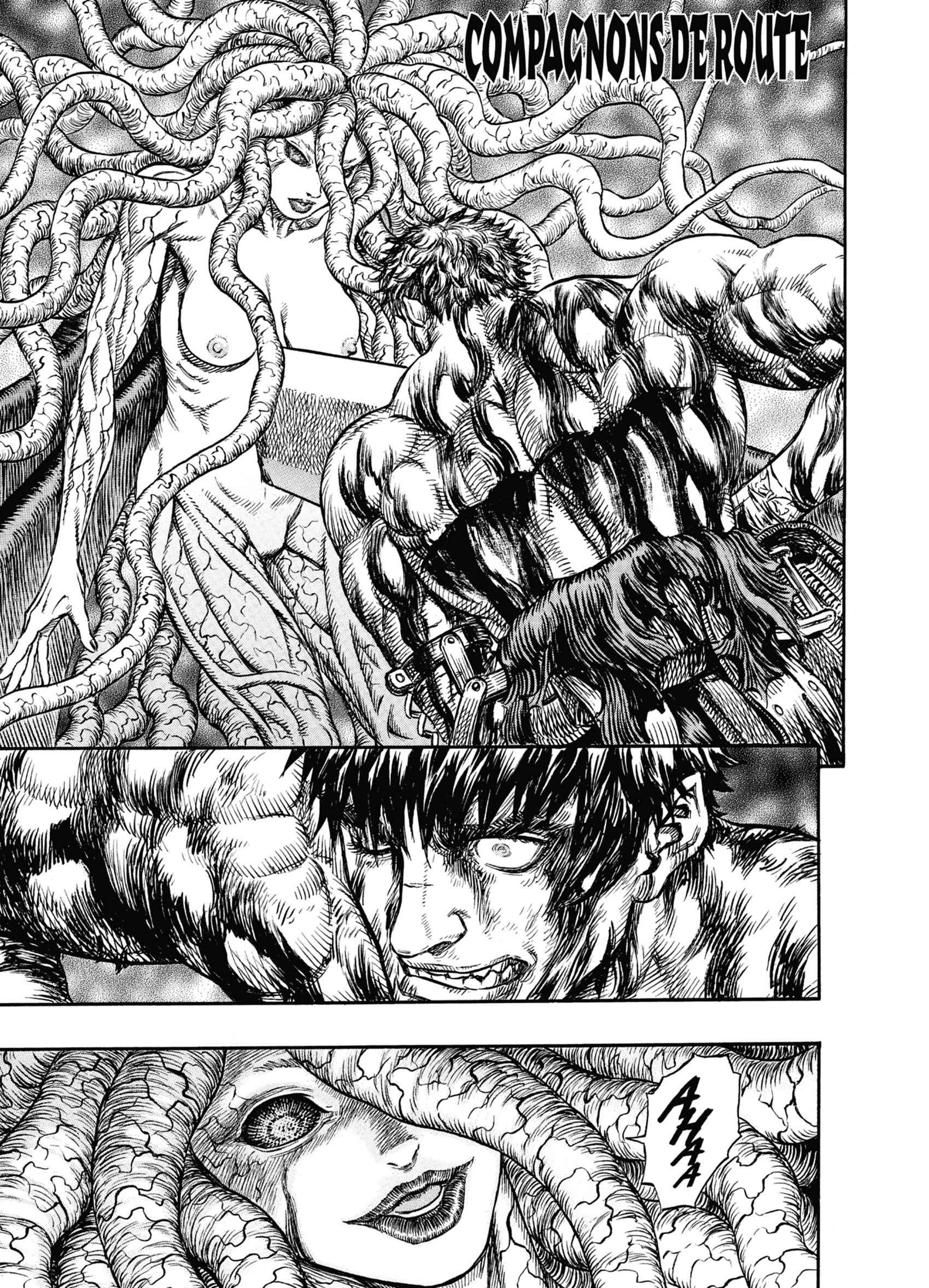 Read Berserk FR Manga Online