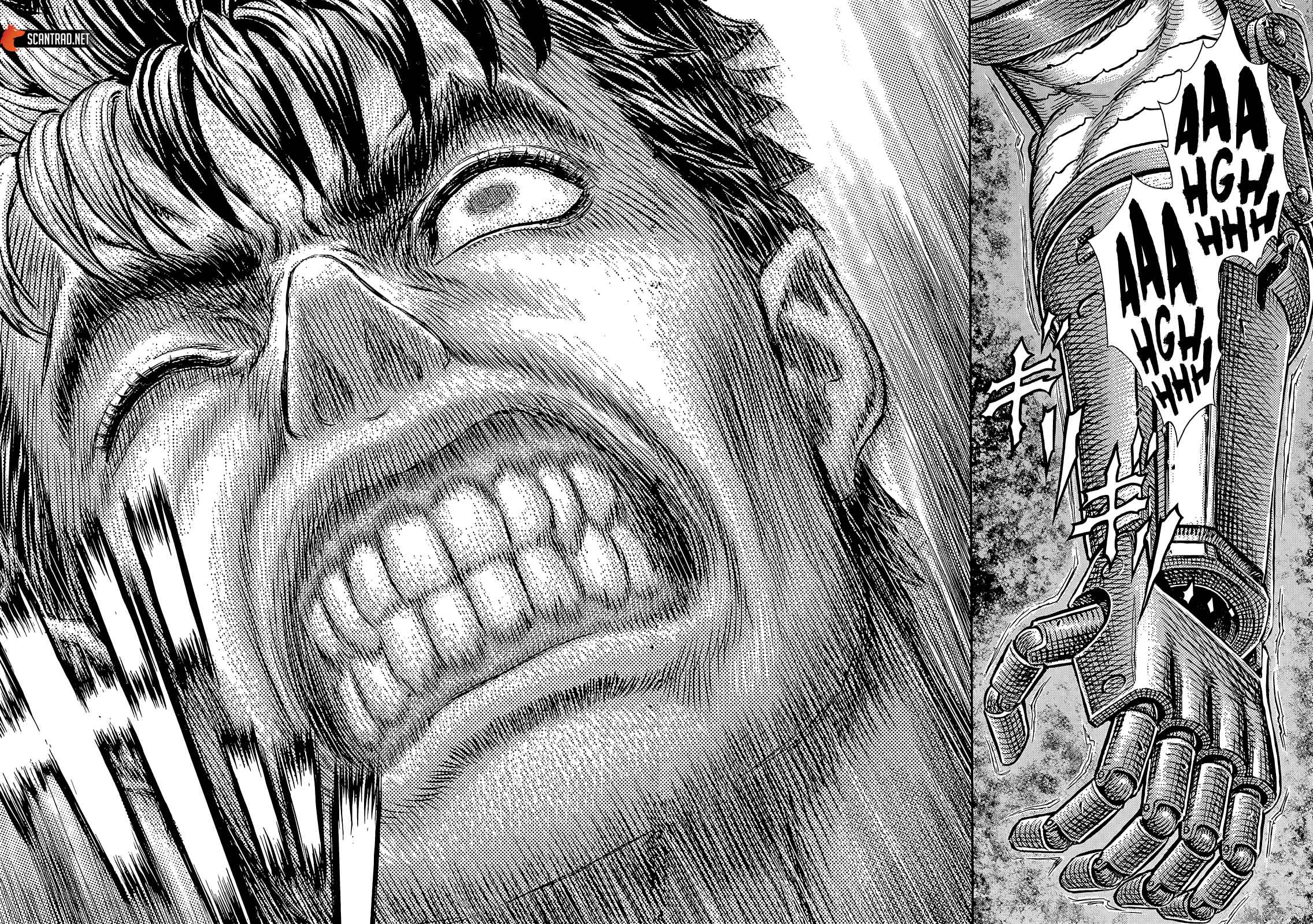 Read Berserk FR Manga Online