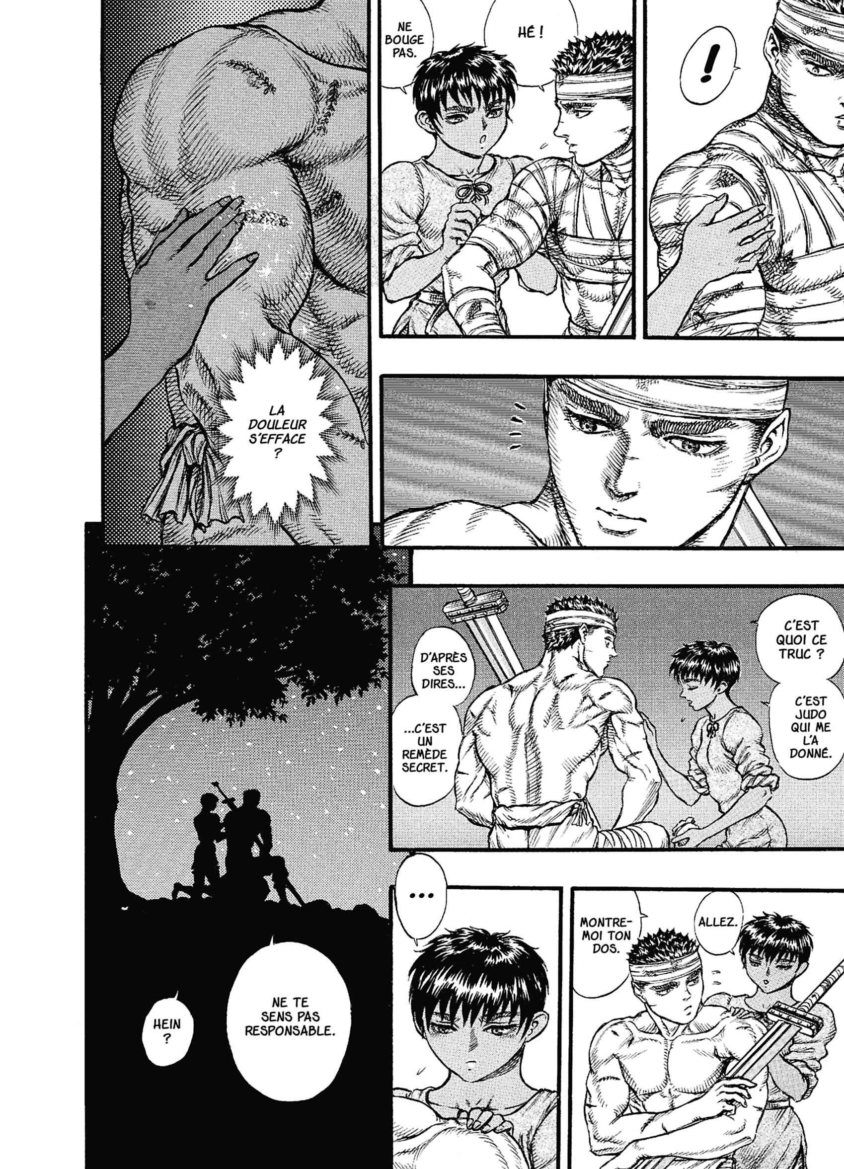 Read Berserk FR Manga Online