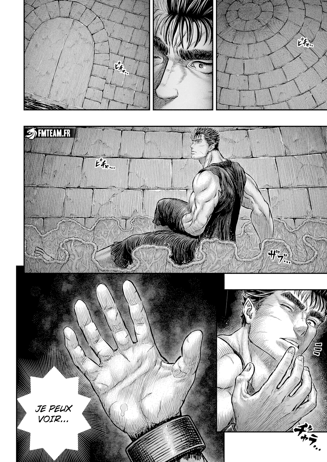Read Berserk FR Manga Online