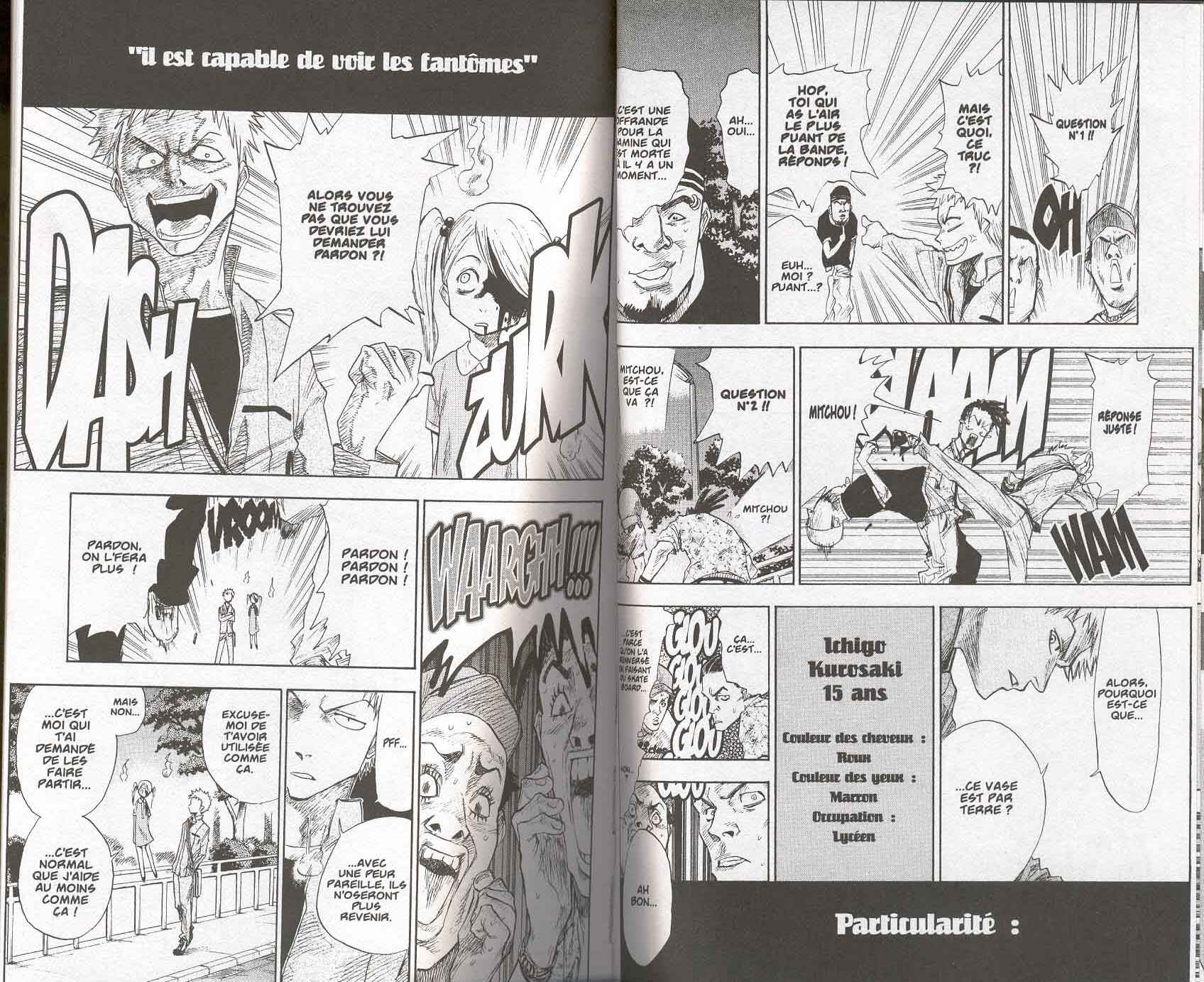 Read Bleach FR Manga Online