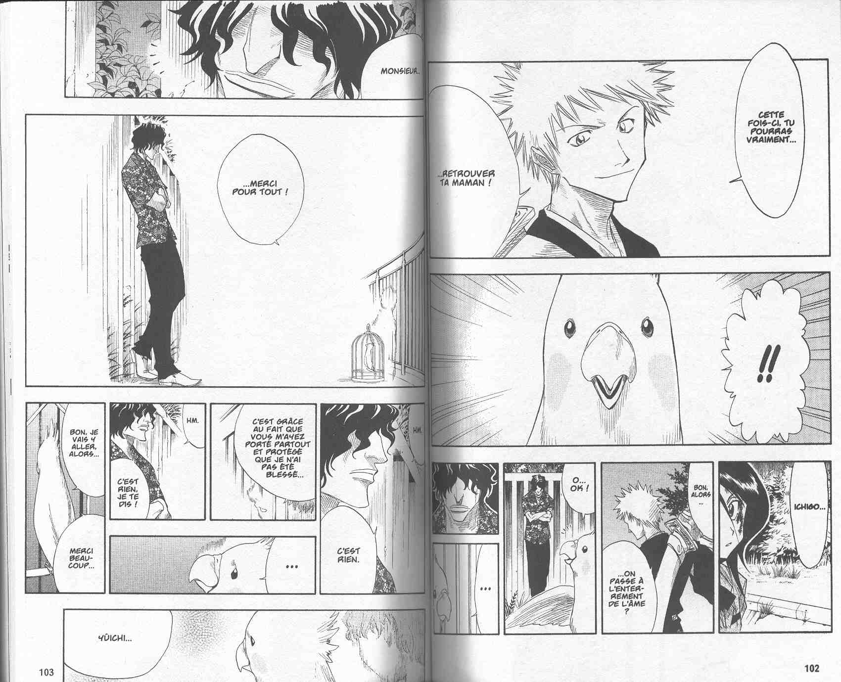 Read Bleach FR Manga Online