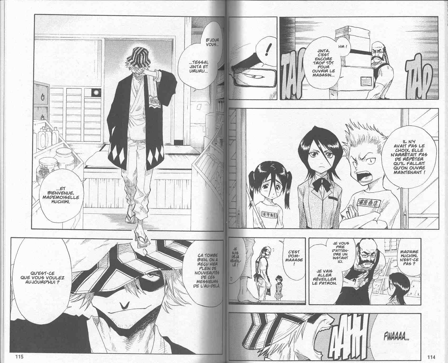 Read Bleach FR Manga Online