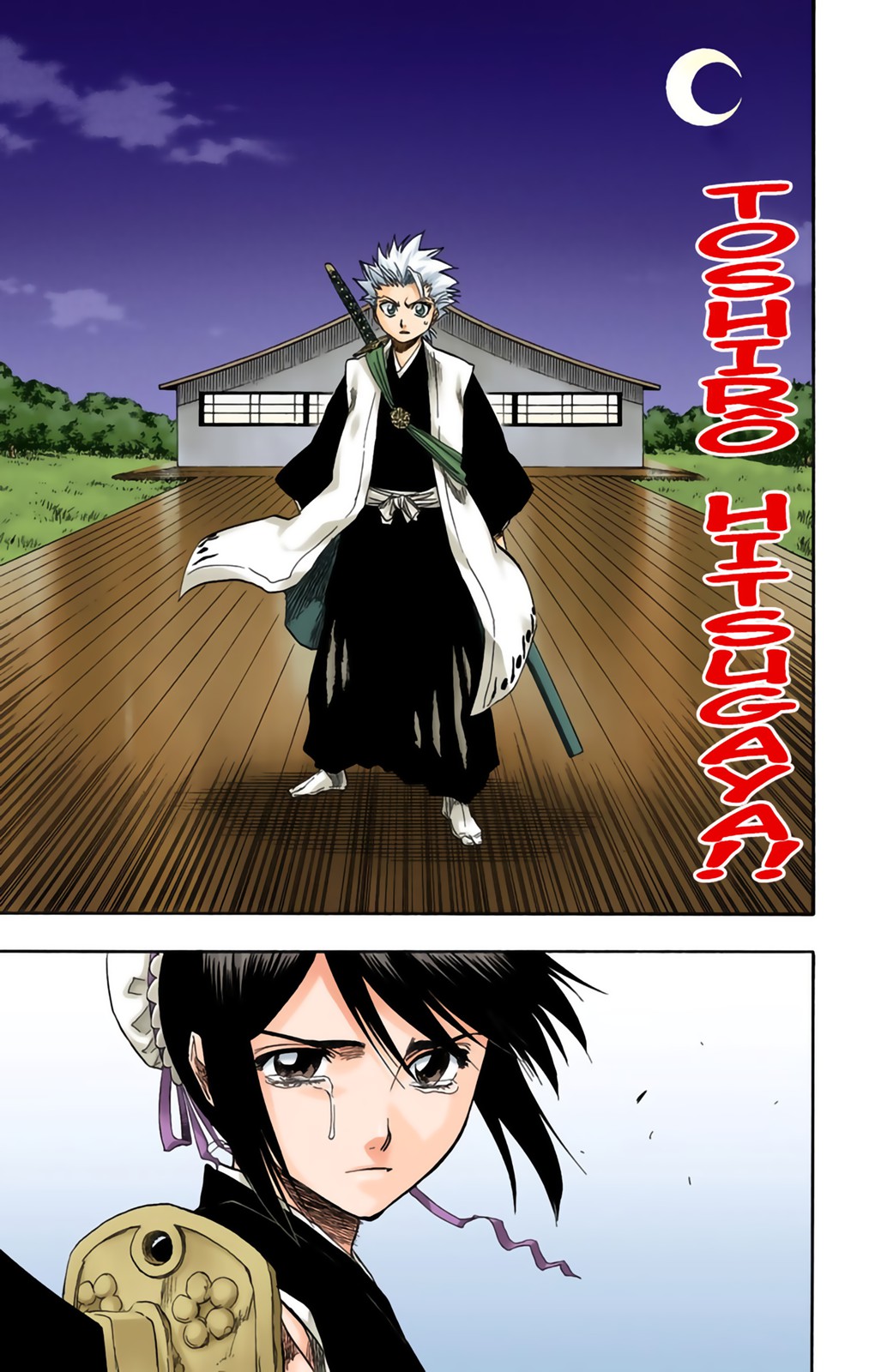 Read Bleach FR Manga Online