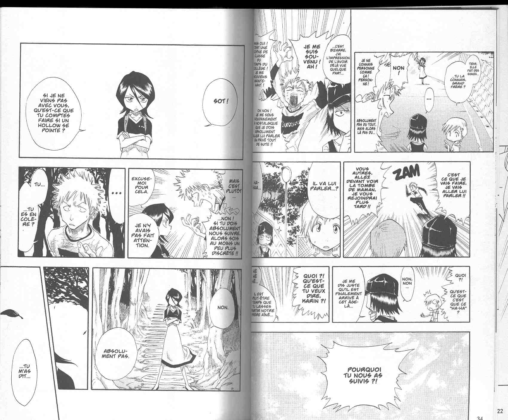 Read Bleach FR Manga Online