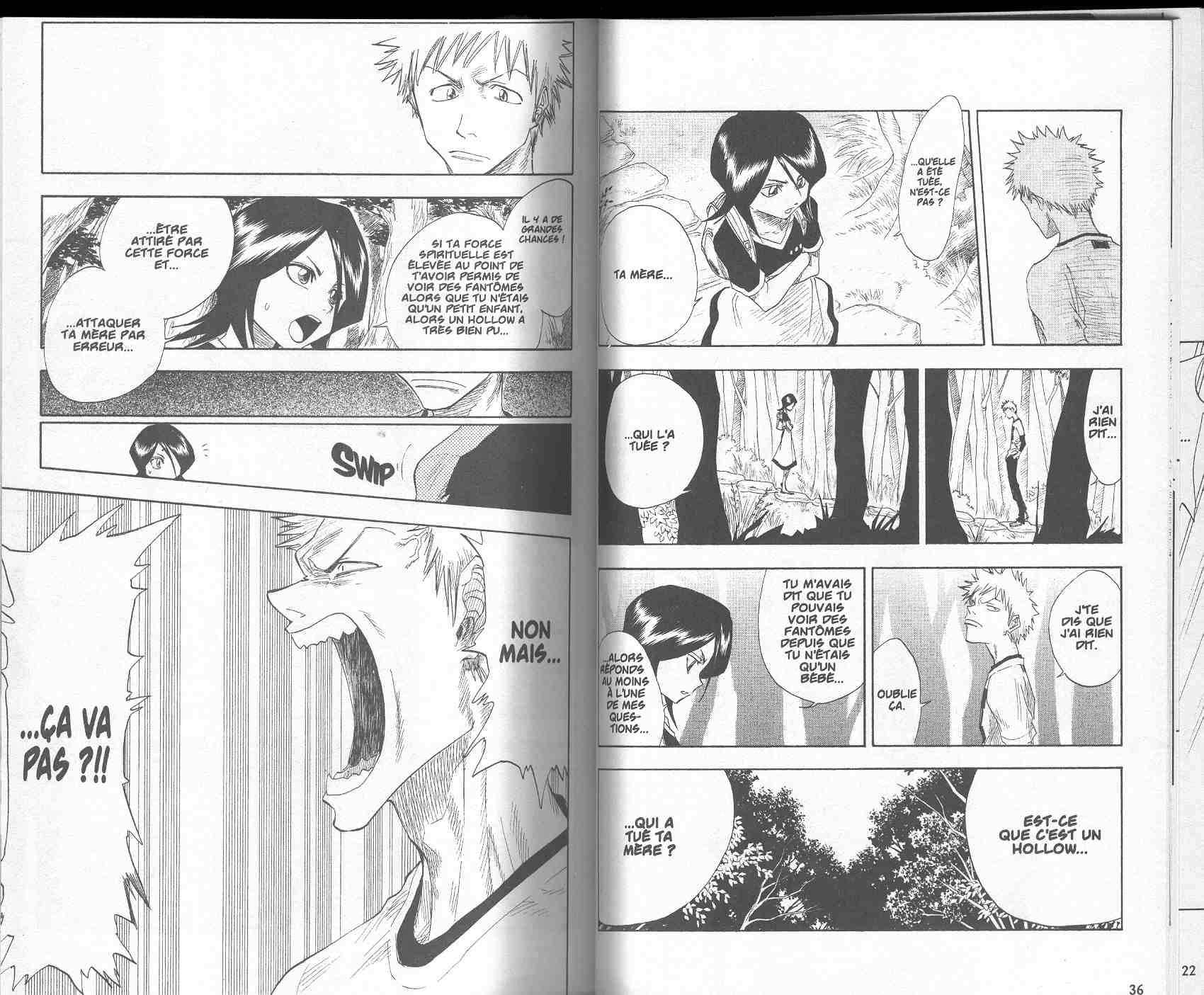 Read Bleach FR Manga Online
