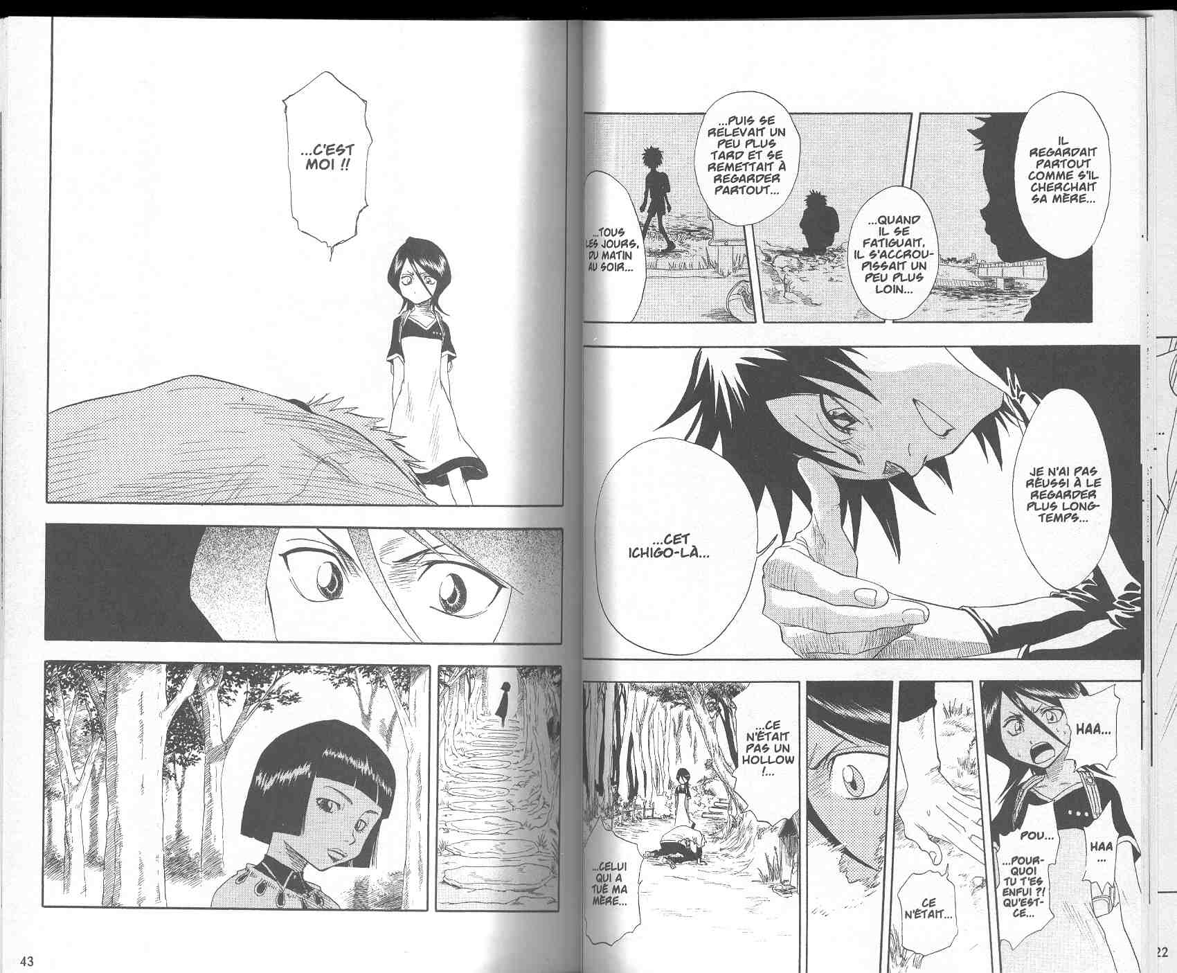 Read Bleach FR Manga Online