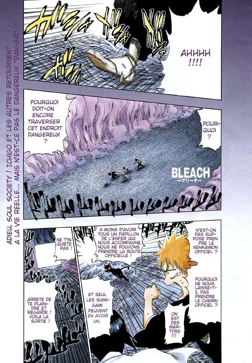 Read Bleach FR Manga Online