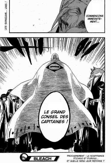 Read Bleach FR Manga Online