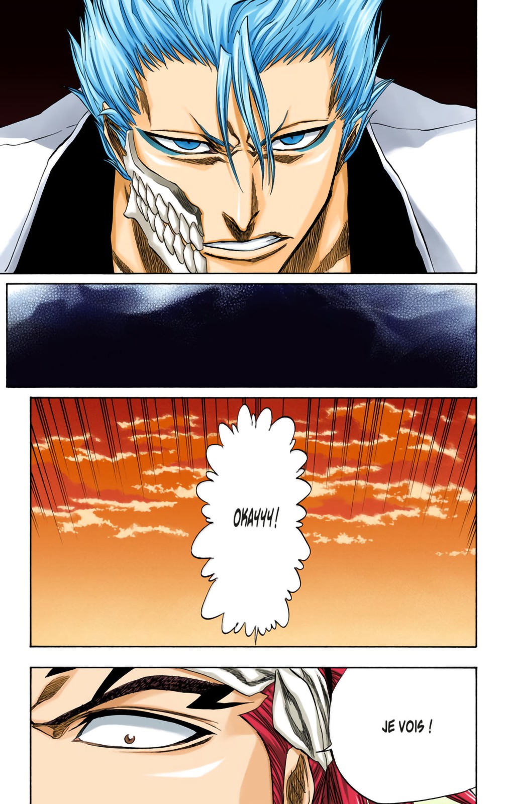 Read Bleach FR Manga Online