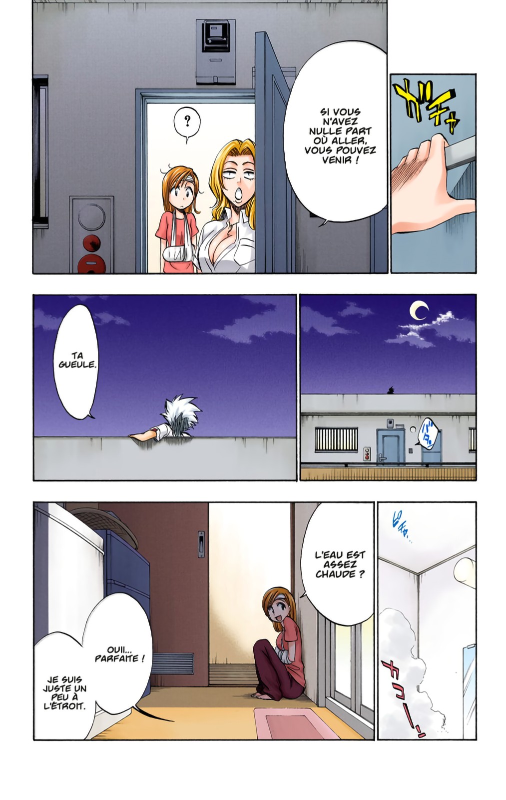 Read Bleach FR Manga Online