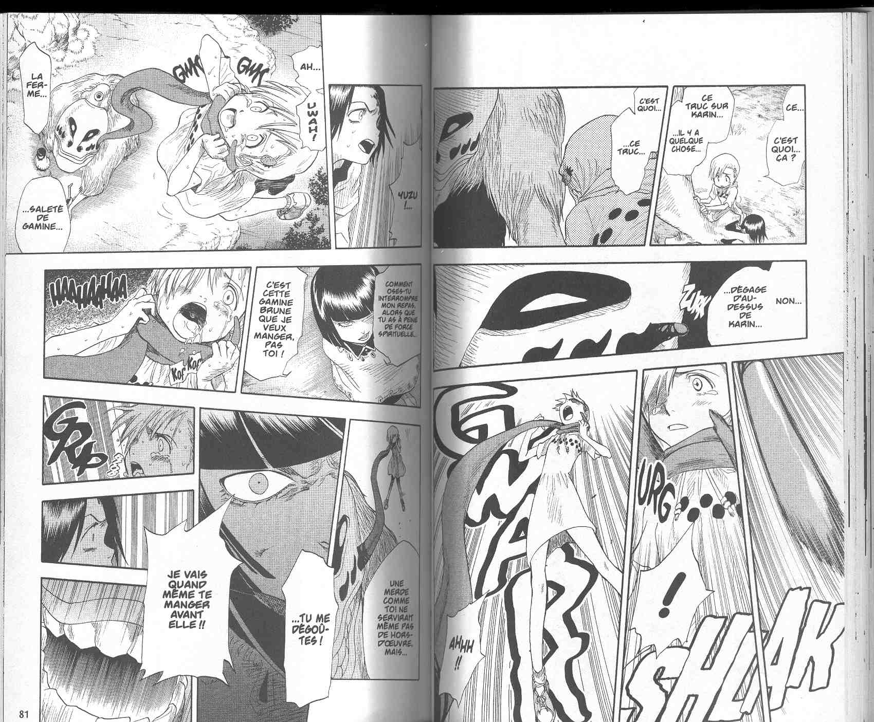 Read Bleach FR Manga Online