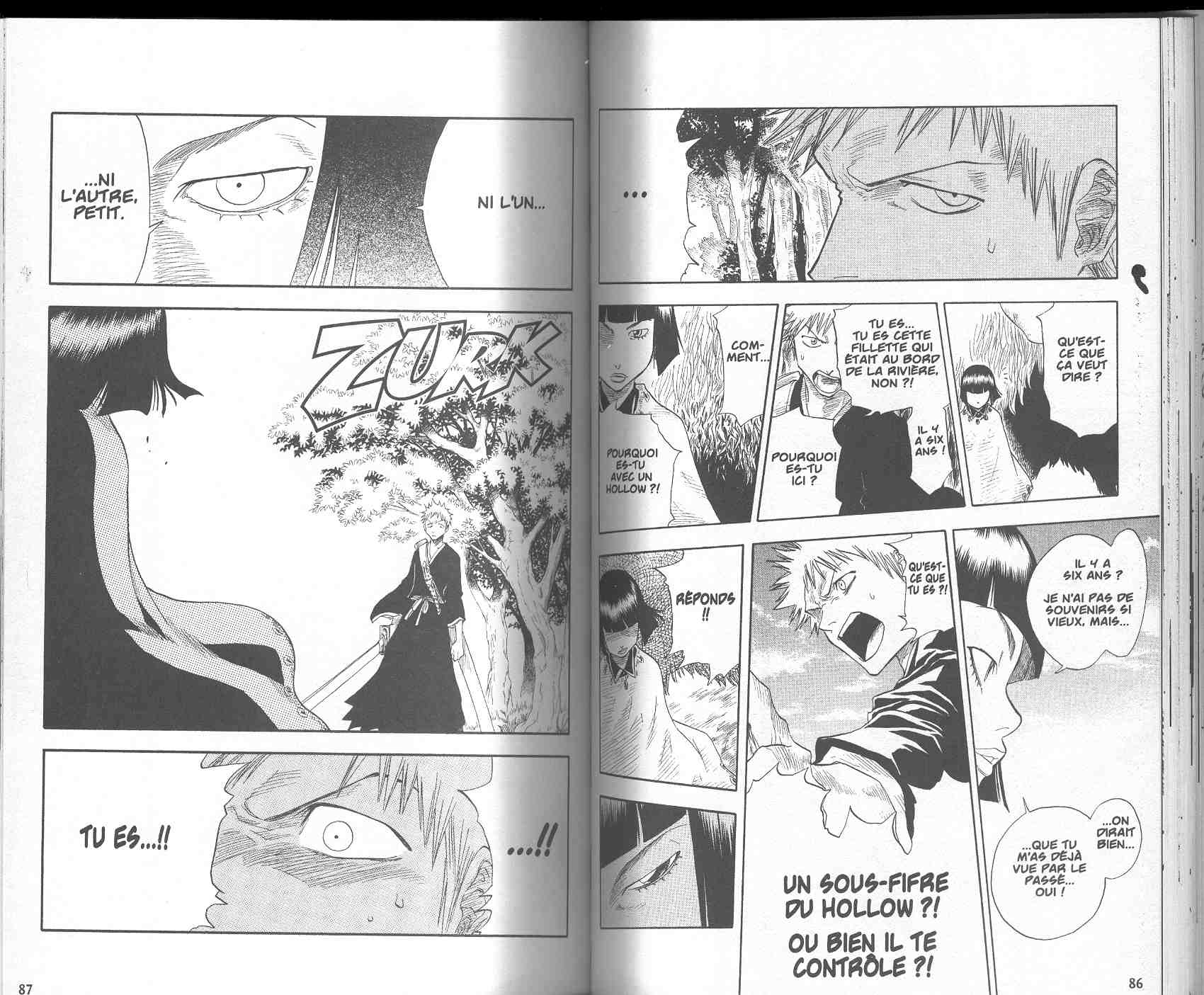 Read Bleach FR Manga Online
