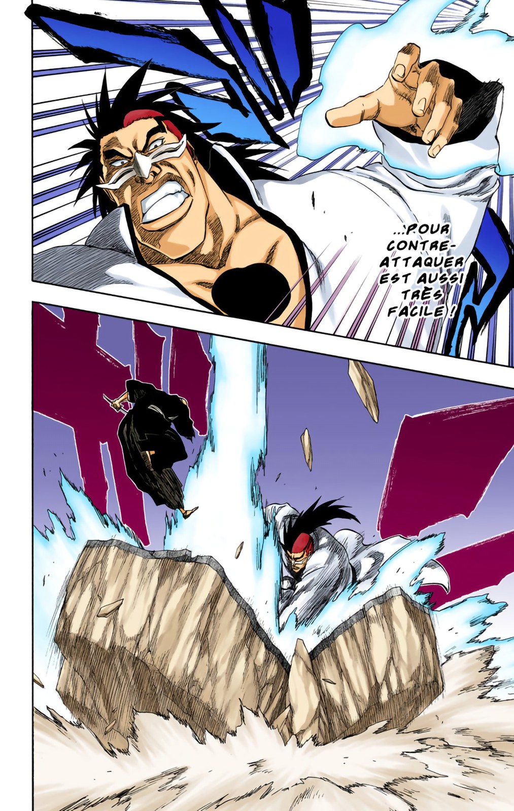 Read Bleach FR Manga Online