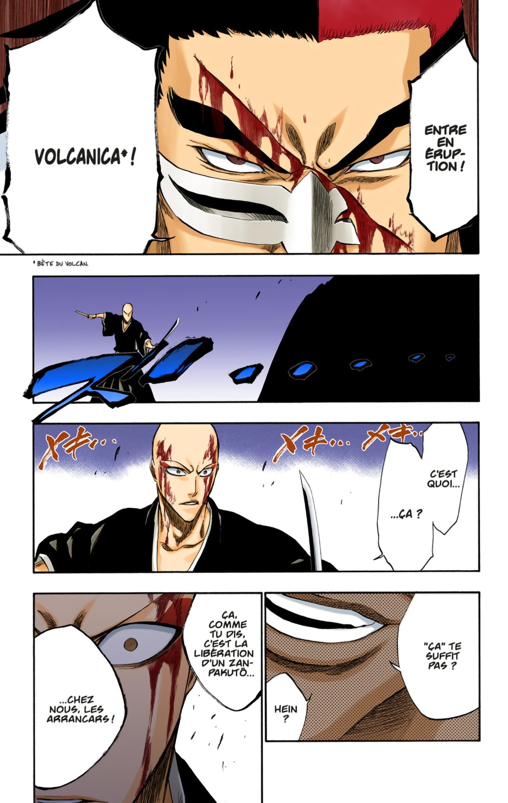 Read Bleach FR Manga Online