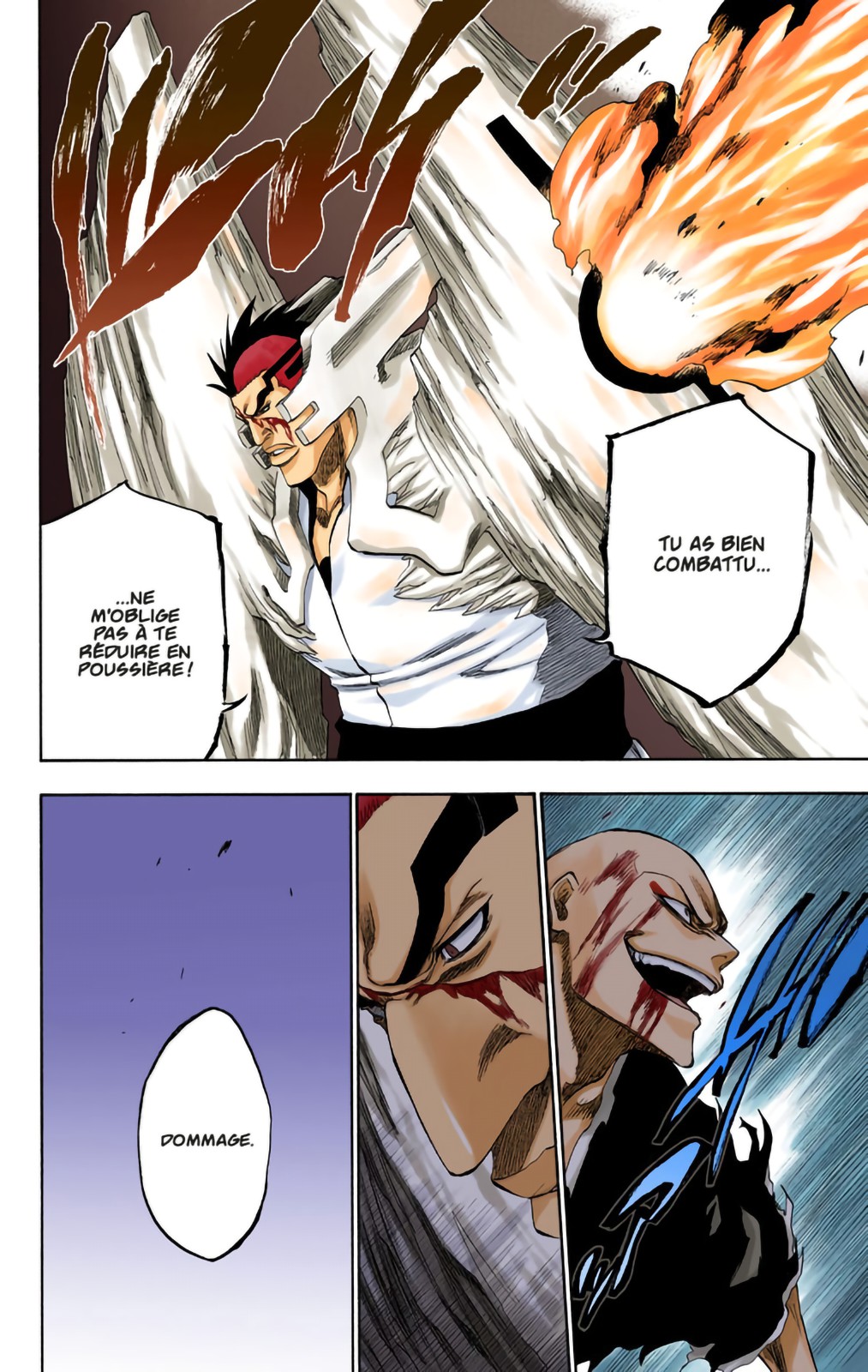 Read Bleach FR Manga Online