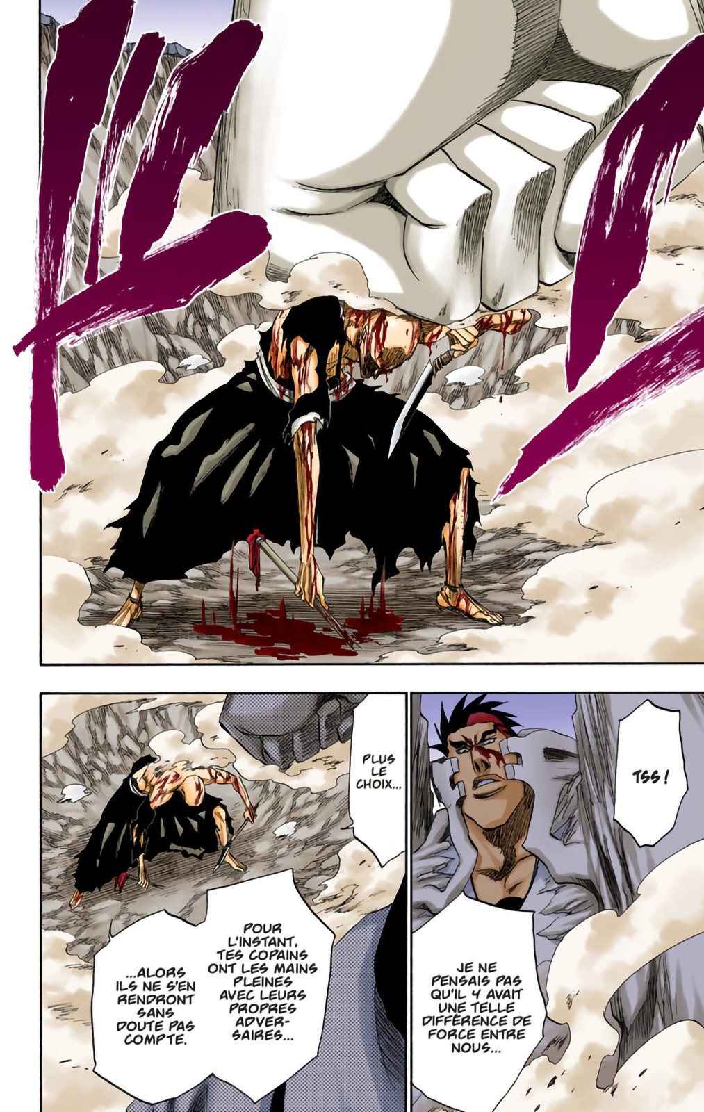 Read Bleach FR Manga Online