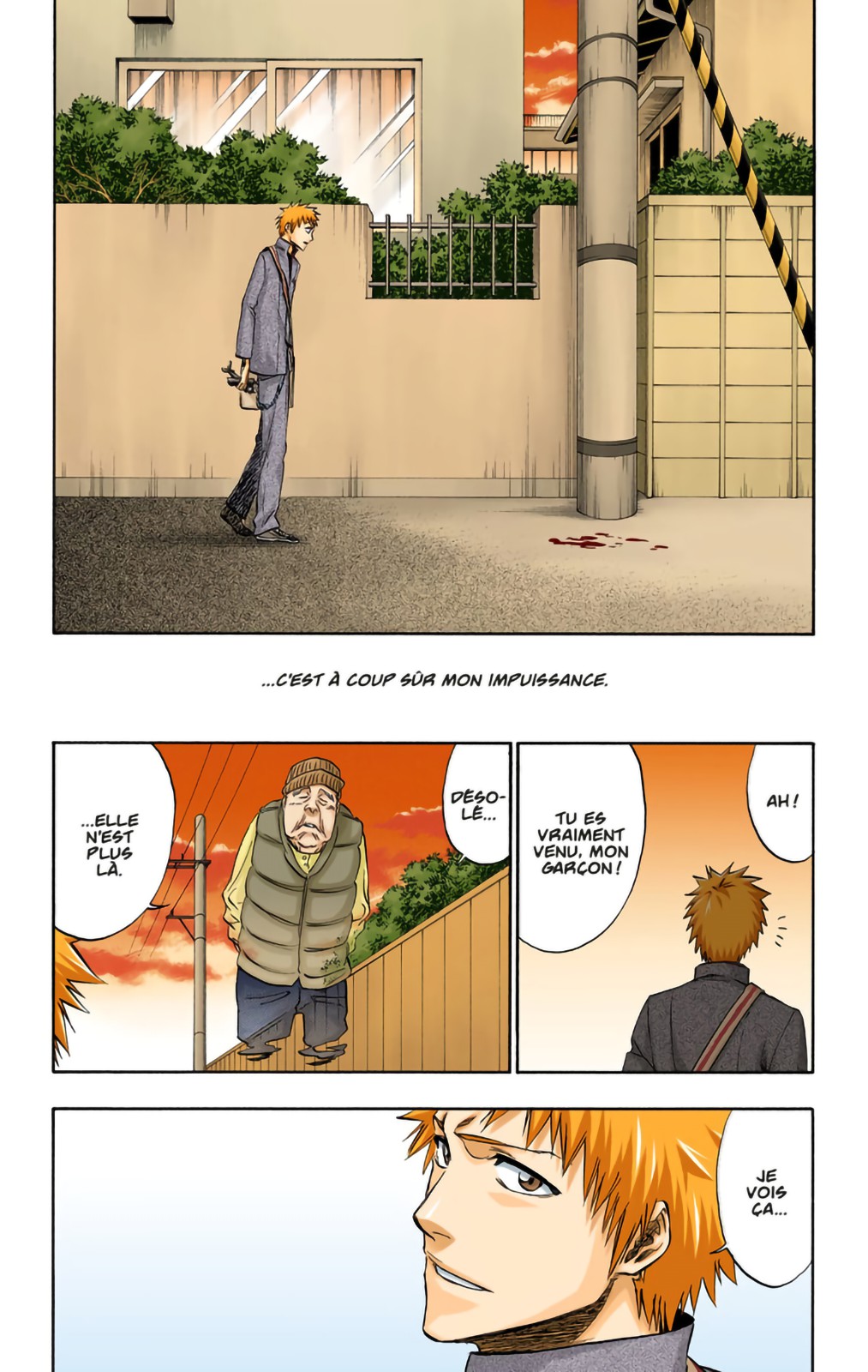 Read Bleach FR Manga Online