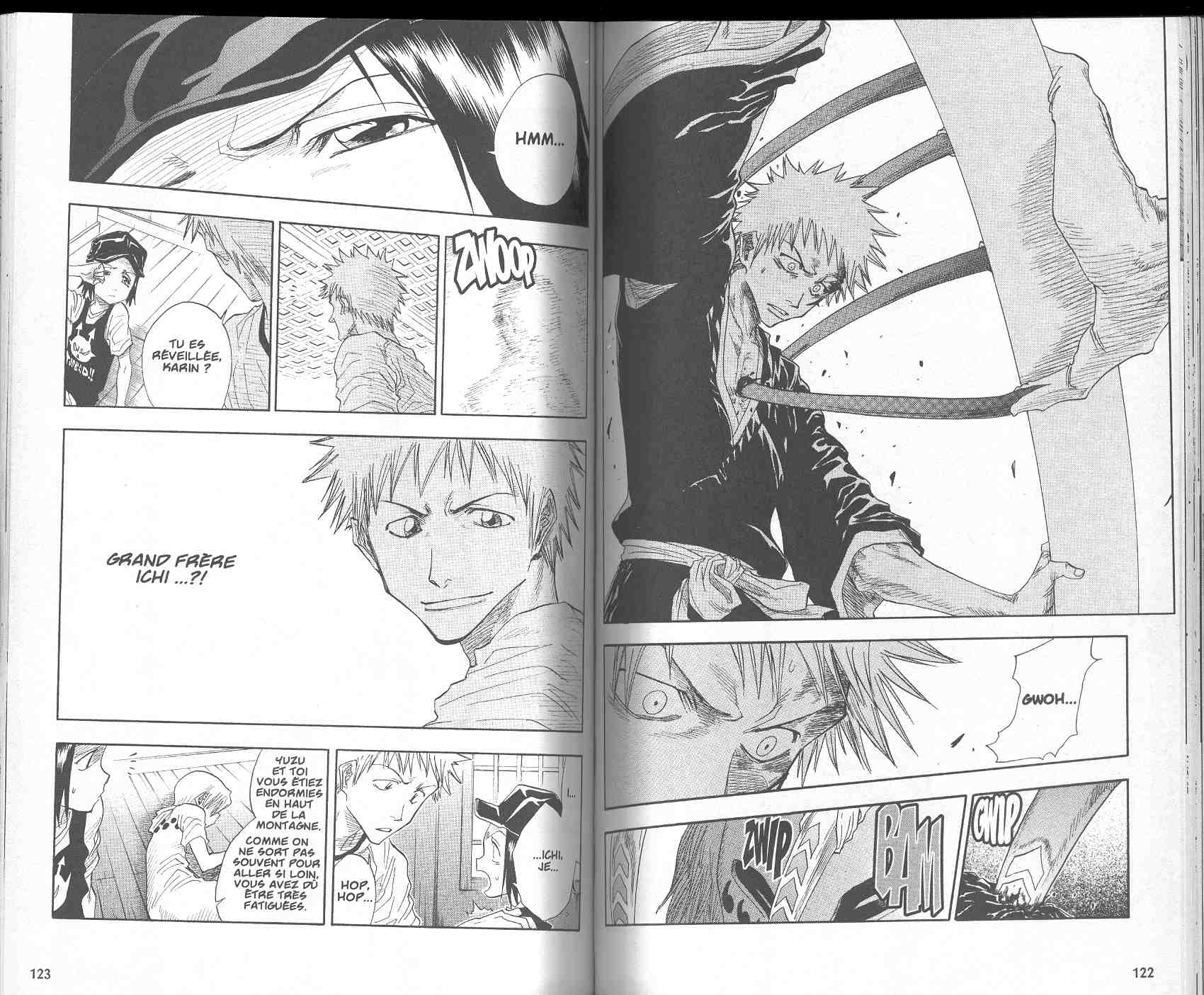 Read Bleach FR Manga Online