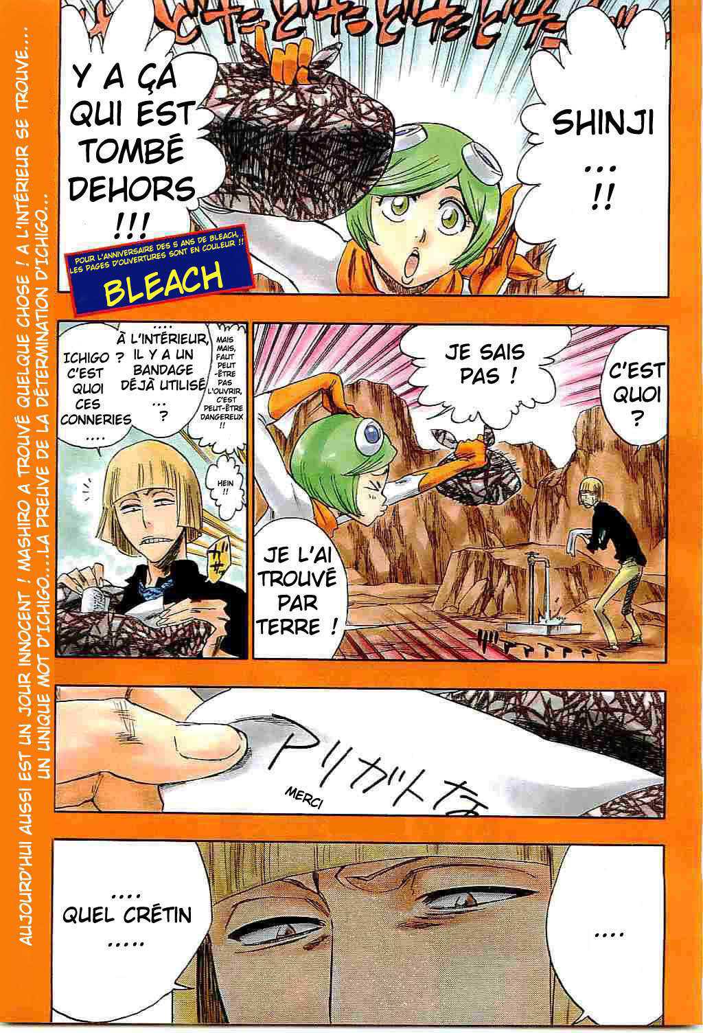 Read Bleach FR Manga Online