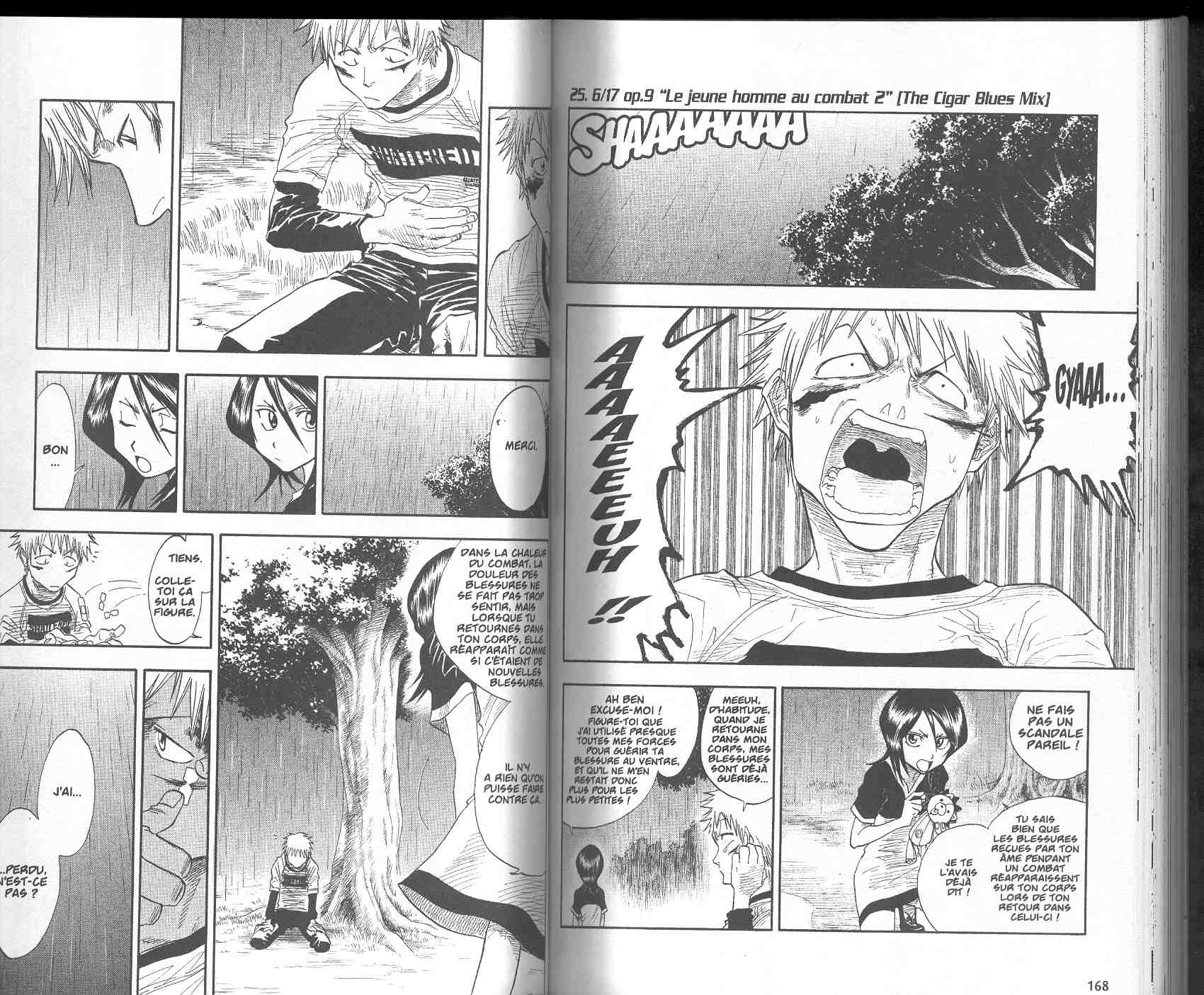 Read Bleach FR Manga Online