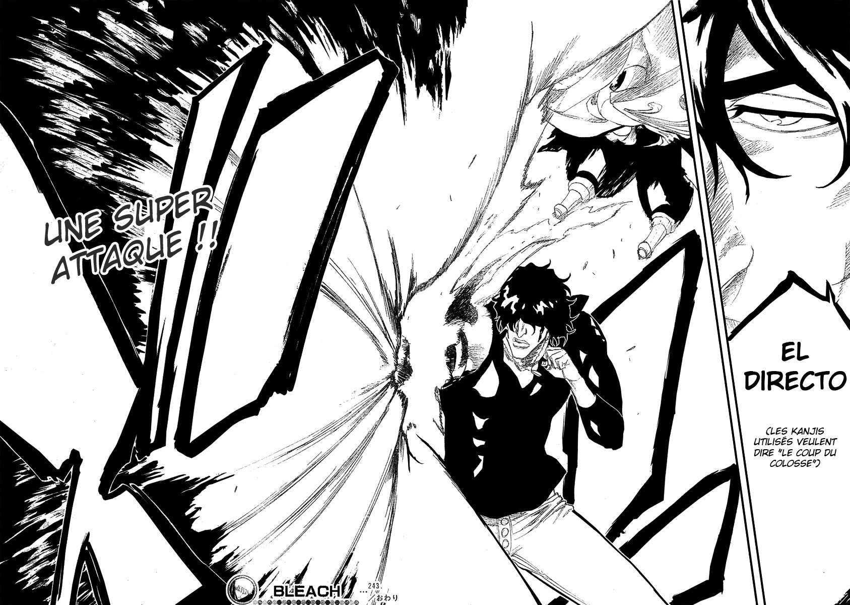 Read Bleach FR Manga Online