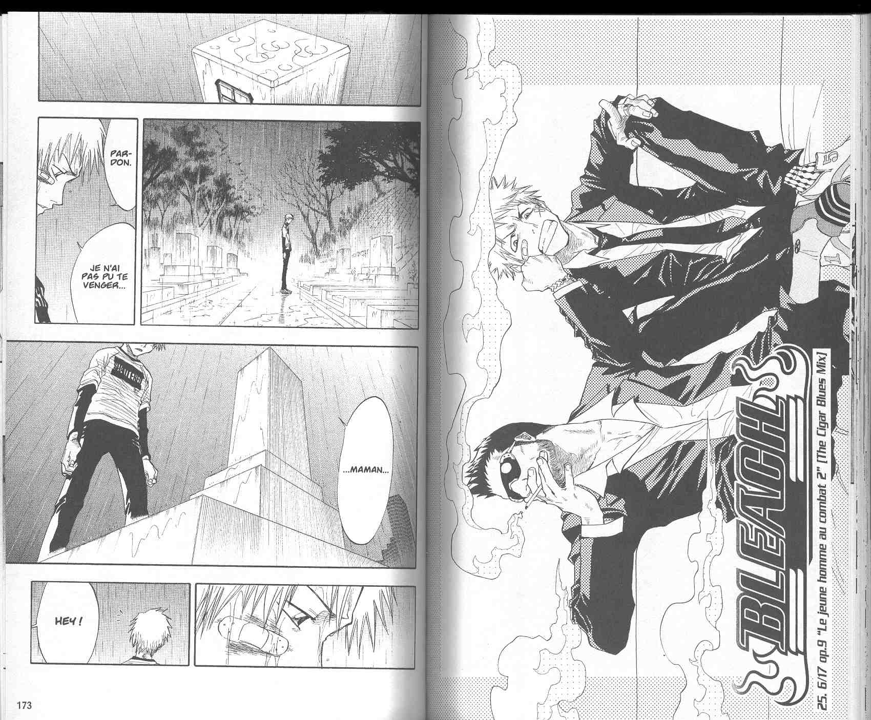 Read Bleach FR Manga Online
