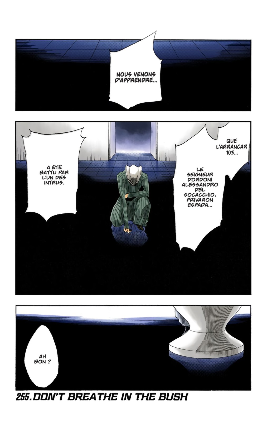 Read Bleach FR Manga Online