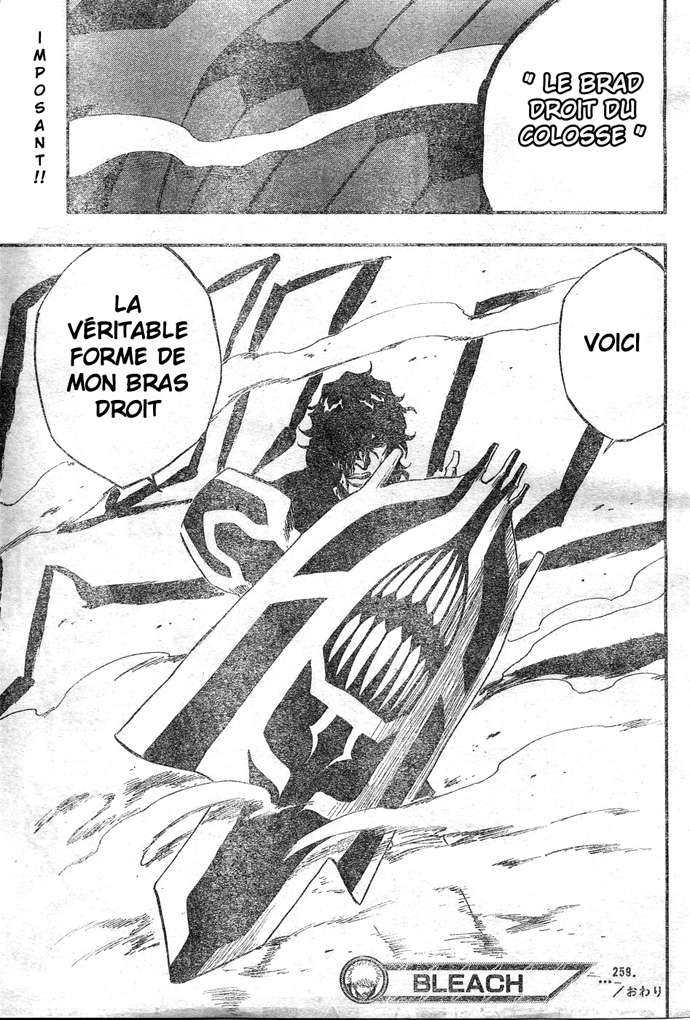Read Bleach FR Manga Online