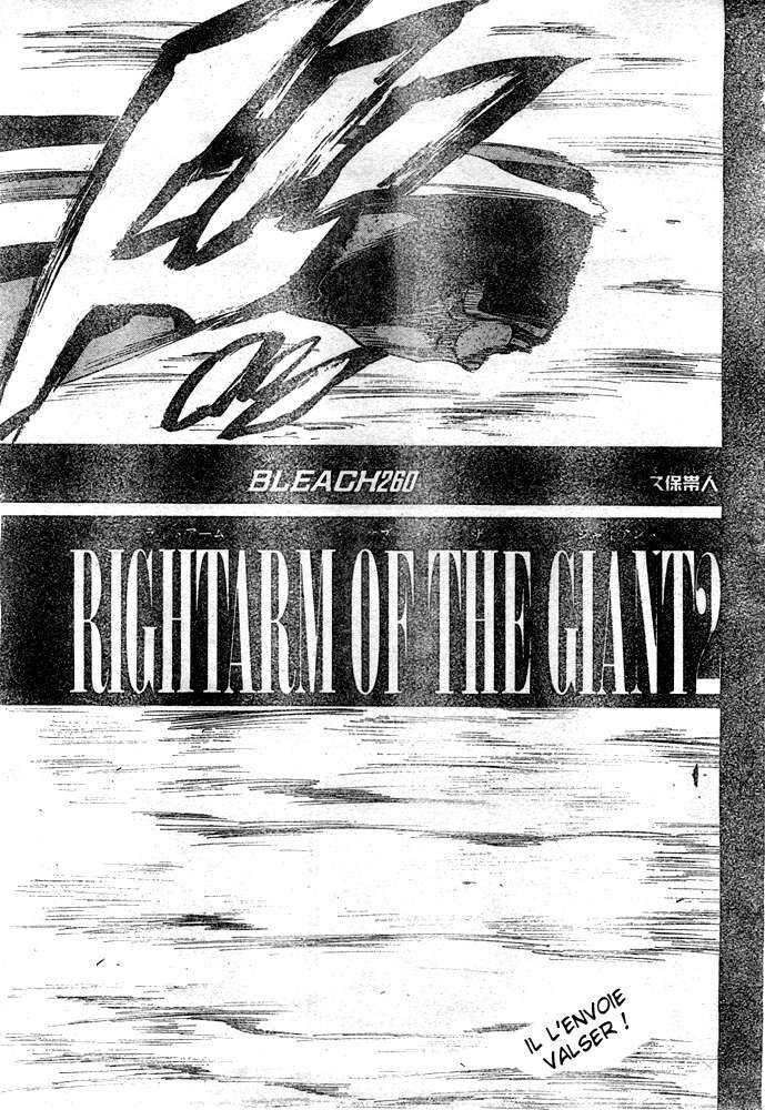 Read Bleach FR Manga Online