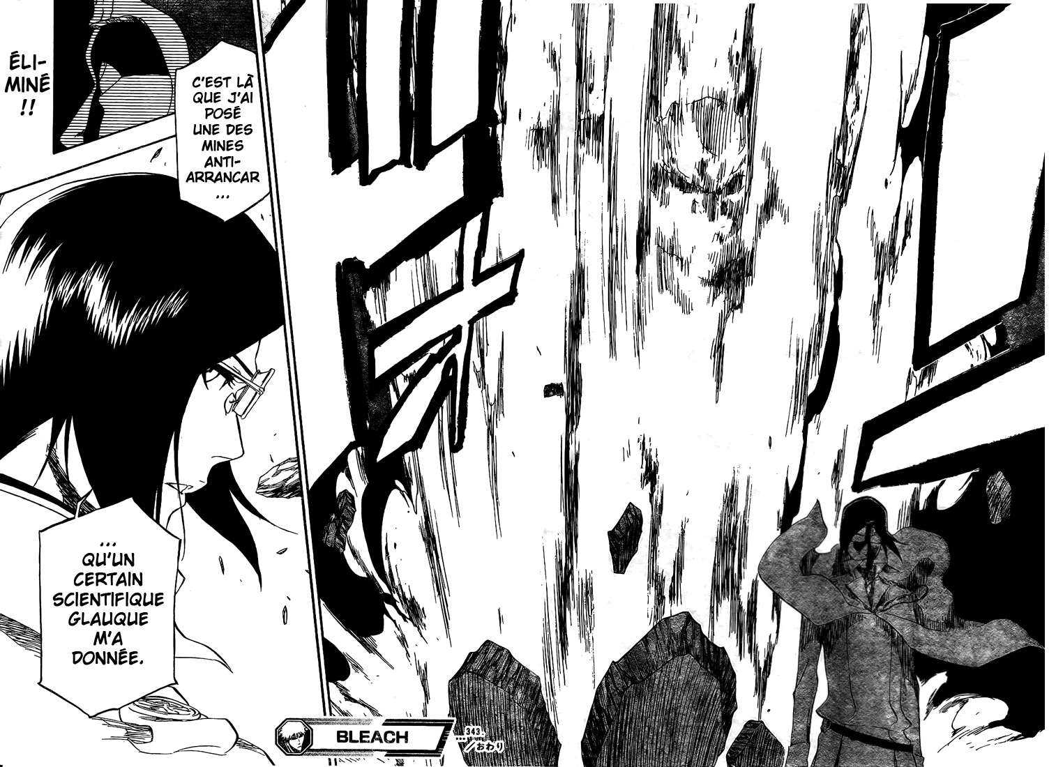 Read Bleach FR Manga Online