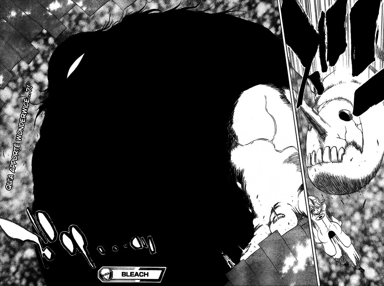 Read Bleach FR Manga Online