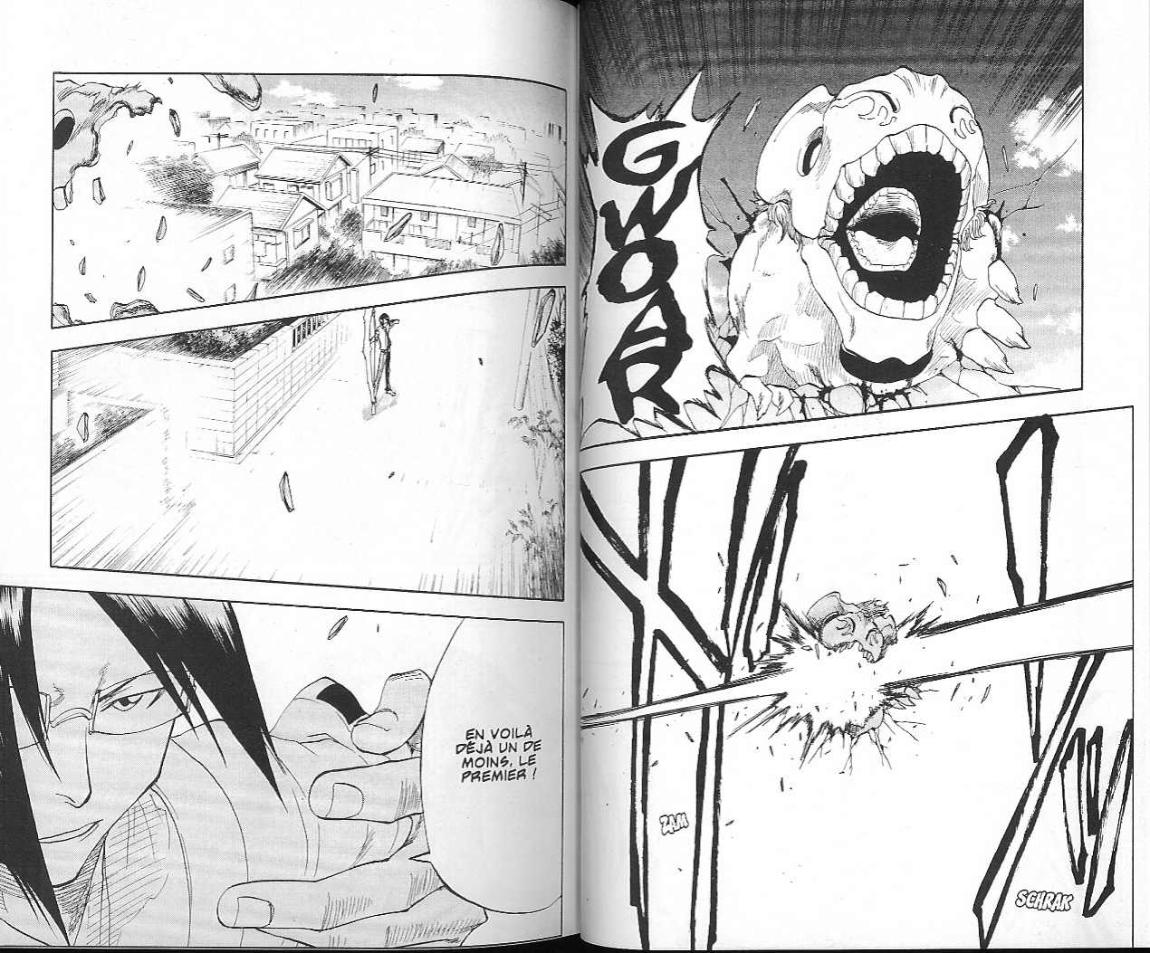 Read Bleach FR Manga Online