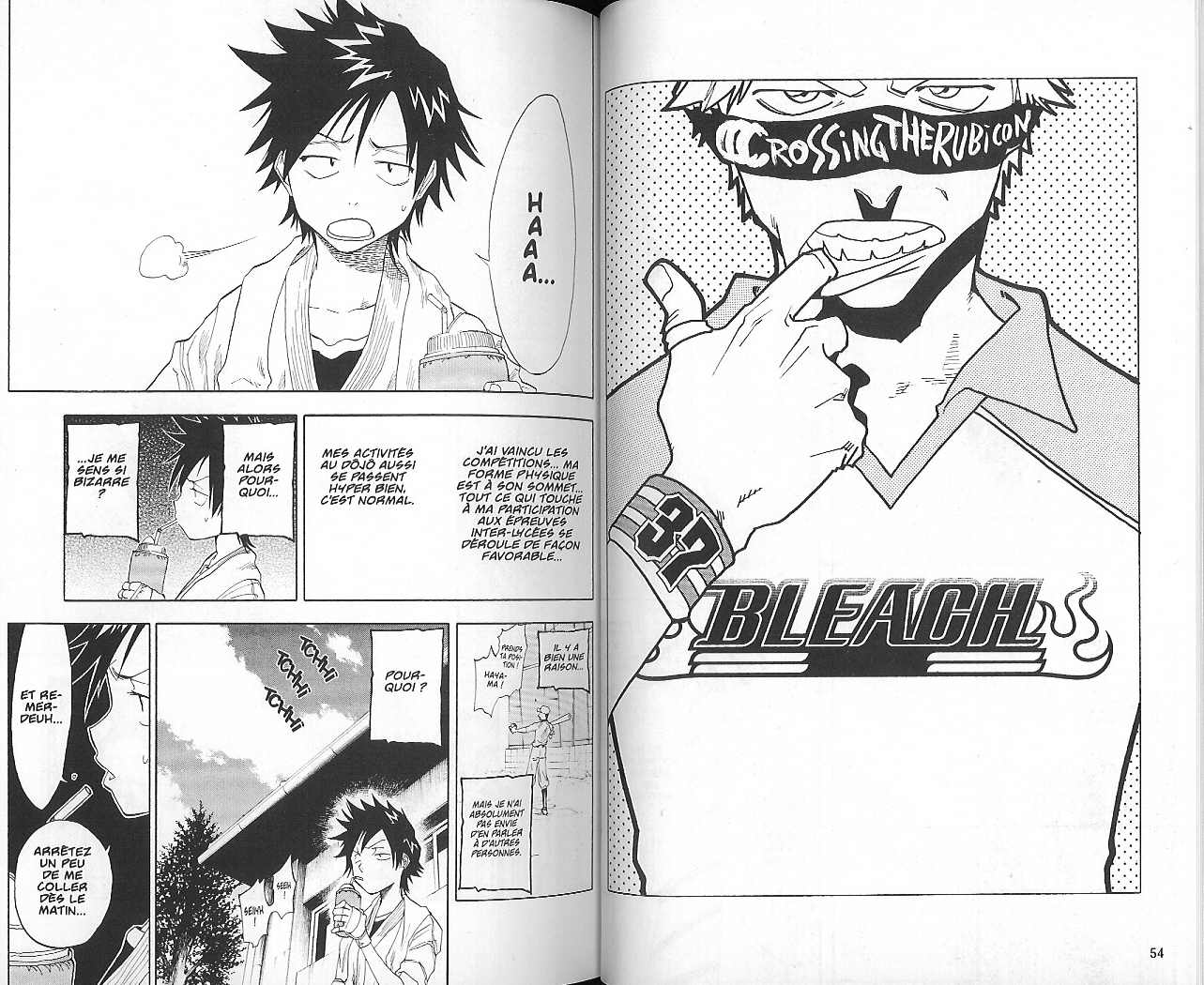 Read Bleach FR Manga Online