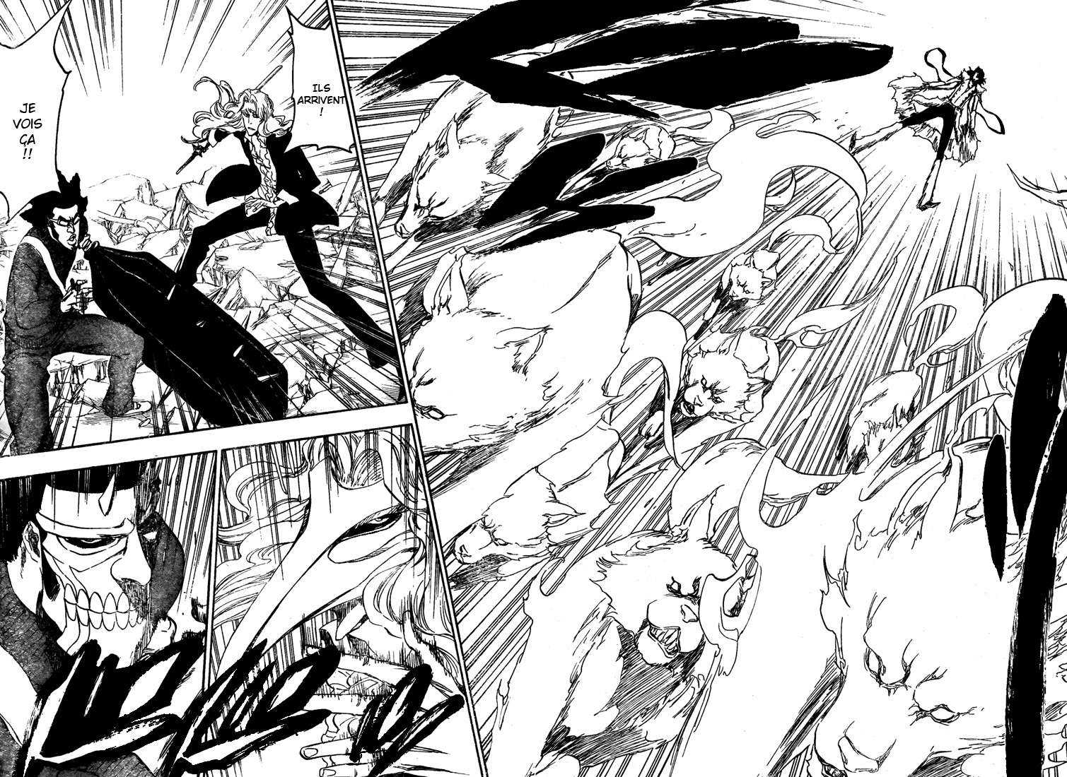 Read Bleach FR Manga Online