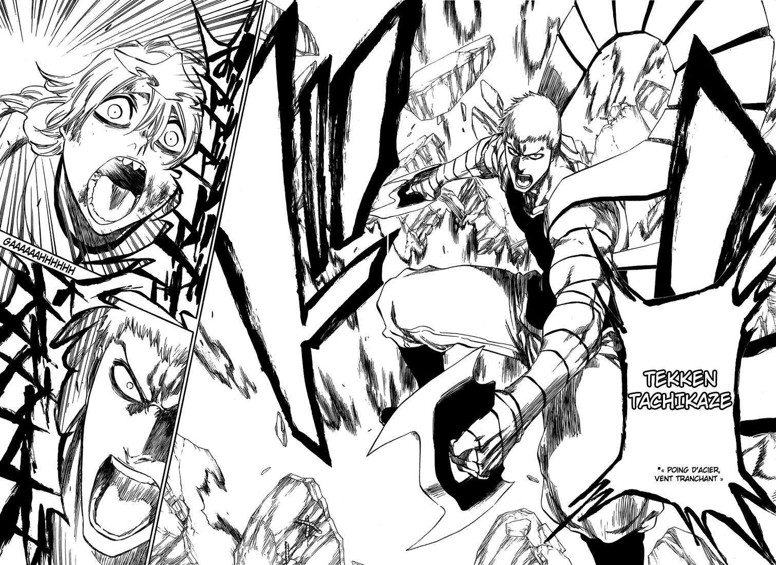 Read Bleach FR Manga Online