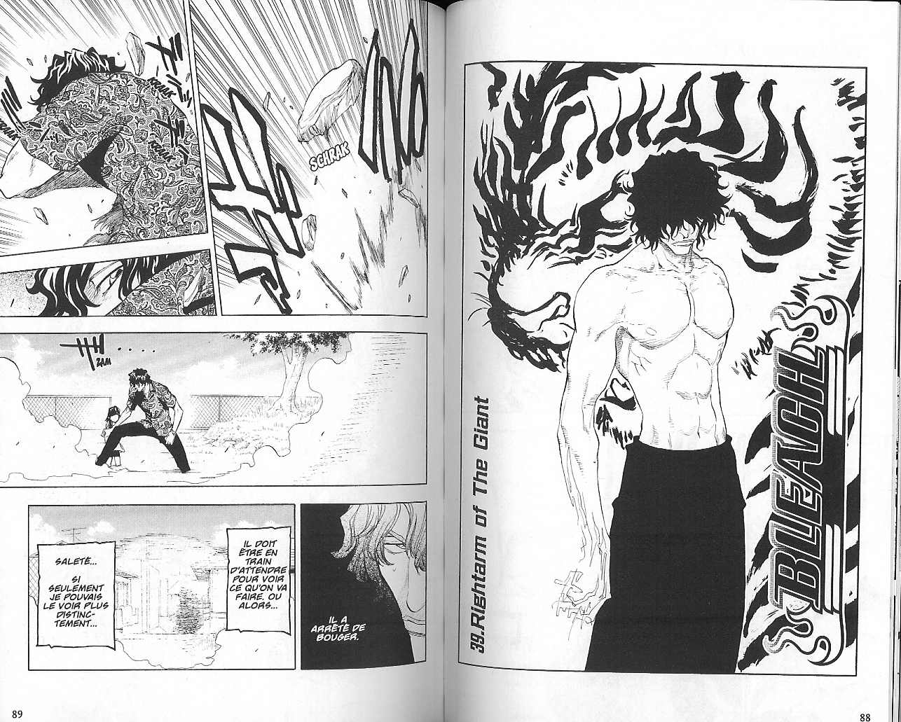 Read Bleach FR Manga Online