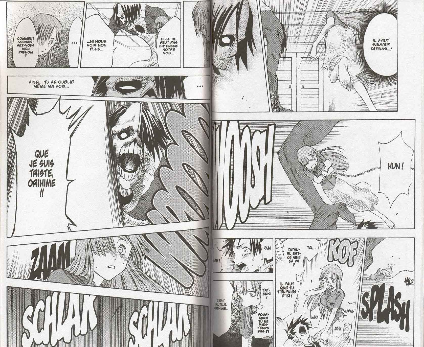 Read Bleach FR Manga Online