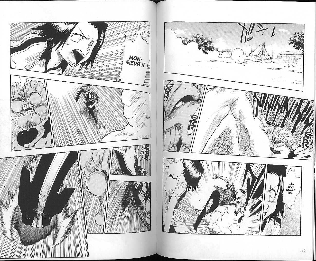 Read Bleach FR Manga Online