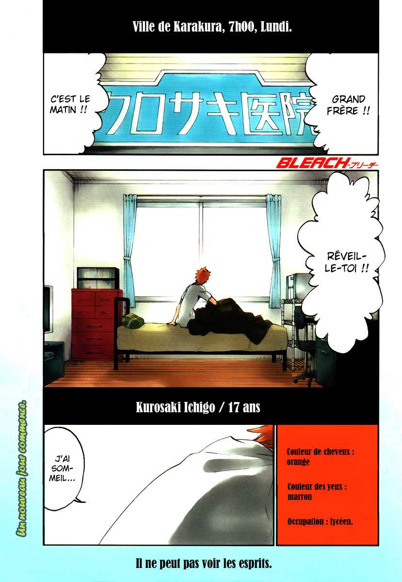 Read Bleach FR Manga Online