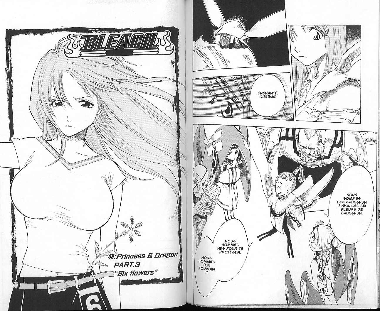 Read Bleach FR Manga Online