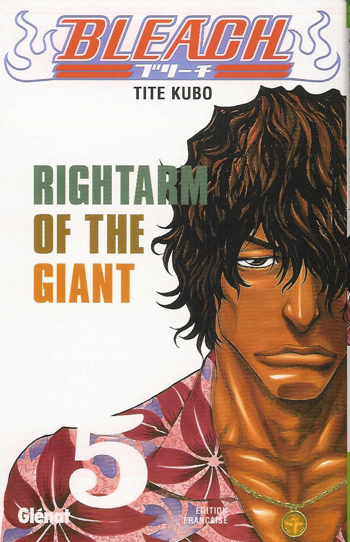 Read Bleach FR Manga Online