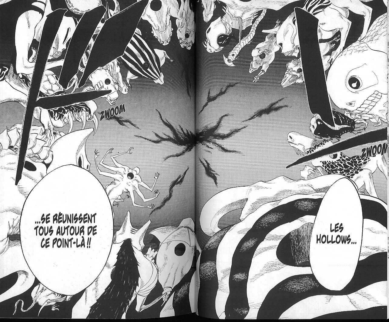 Read Bleach FR Manga Online